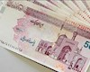 ۱۵ میلیارد تومان تسهیلات به واحدهای روستایی تنگستان پرداخت شد
