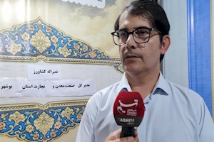 ساماندهی اصناف بوشهر در دولت چهاردهم با تصویب 763مصوبه