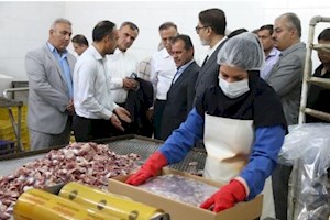 صدور ۳۰ مجوز تأسیس صنعتی با اشتغال‌زایی ۴۵۰ نفری