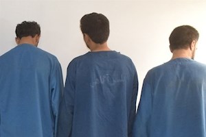 دستگیری سارقان حرفه‌ای و کشف 19 فقره سرقت در بوشهر