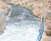 16 دشت استان بوشهر ممنوعه و بحرانی است