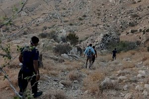 ‌مرد 70 ساله پس از 7 ساعت عملیات جستجو و نجات در کوه‌های جم پیدا شد