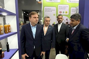 برنامه‌ریزی برای صادرات مستقیم میگوی بوشهر به بازار روسیه