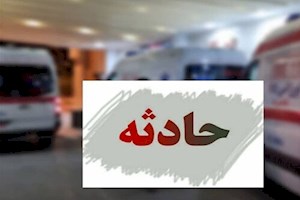 برخورد پژو با گله گوسفند در جنوب استان بوشهر