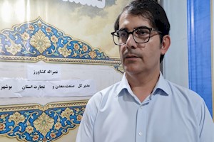 ساماندهی وضعیت بیمه قالیبافان استان بوشهر