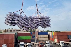 جابه‌جایی بیش از 3.7 میلیون تن کالا در محورهای مواصلاتی استان بوشهر