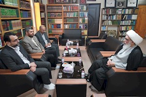 سلامت و توان جسمی حجاج مبنای برنامه‌ریزی مناسک قرار گیرد