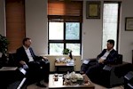 تولید 250 مگاوات برق خورشیدی در دستور کار استان بوشهر