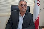 تشکیل پرونده برای 39 فقره تخلف صنفی استان بوشهر