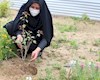 درختکاری در محوطه اداره آموزش و پرورش منطقه آب پخش